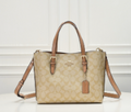 Coach Mollie Tote Bag Brown