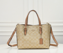 Coach Mollie Tote Bag Brown